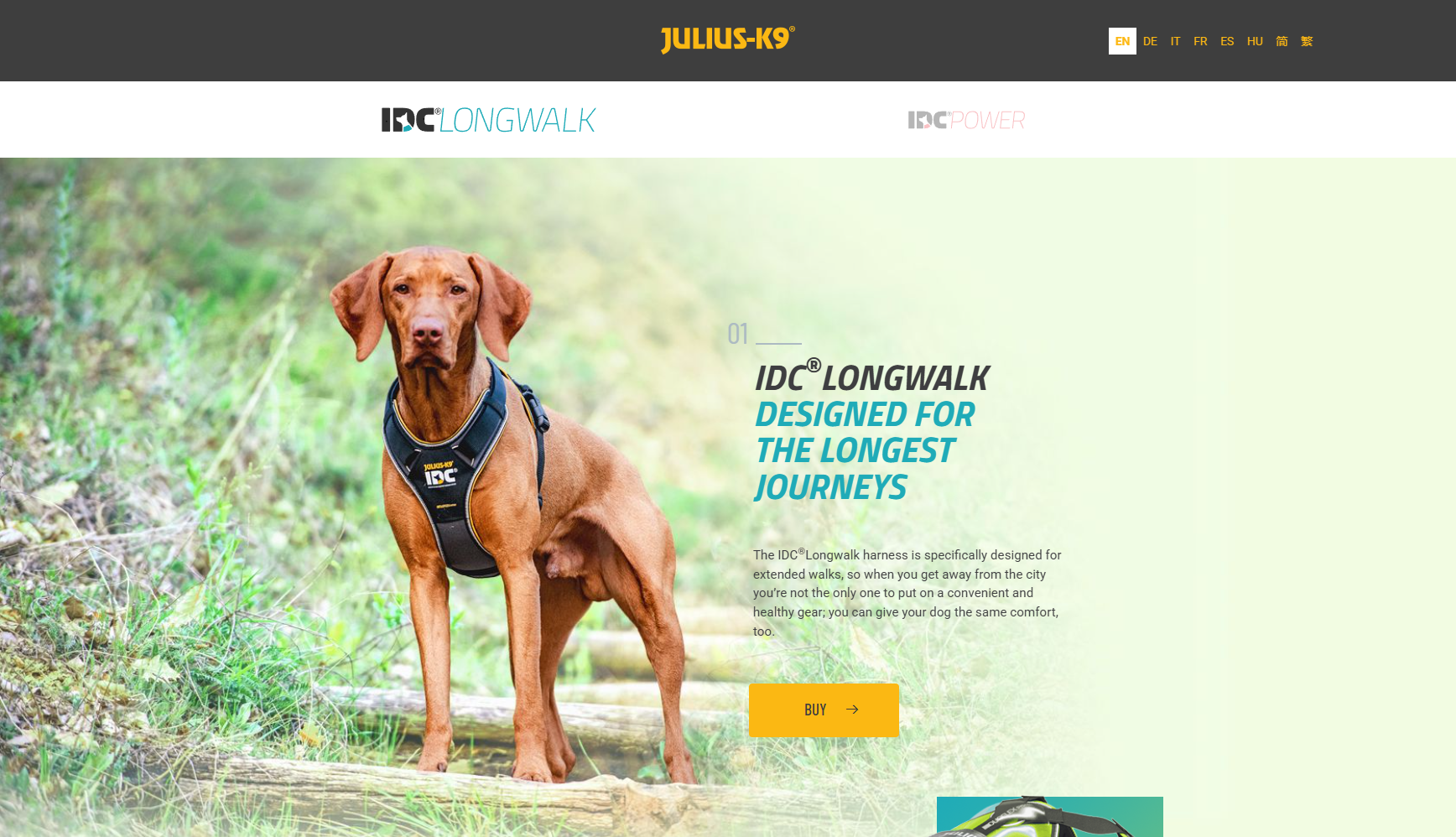 IDC®Longwalk landing