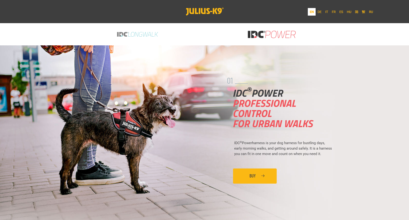 IDC®POWER landing